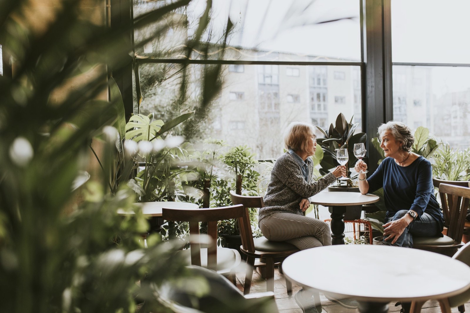 Duas amigas brindam com vinho num café cheio de plantas.